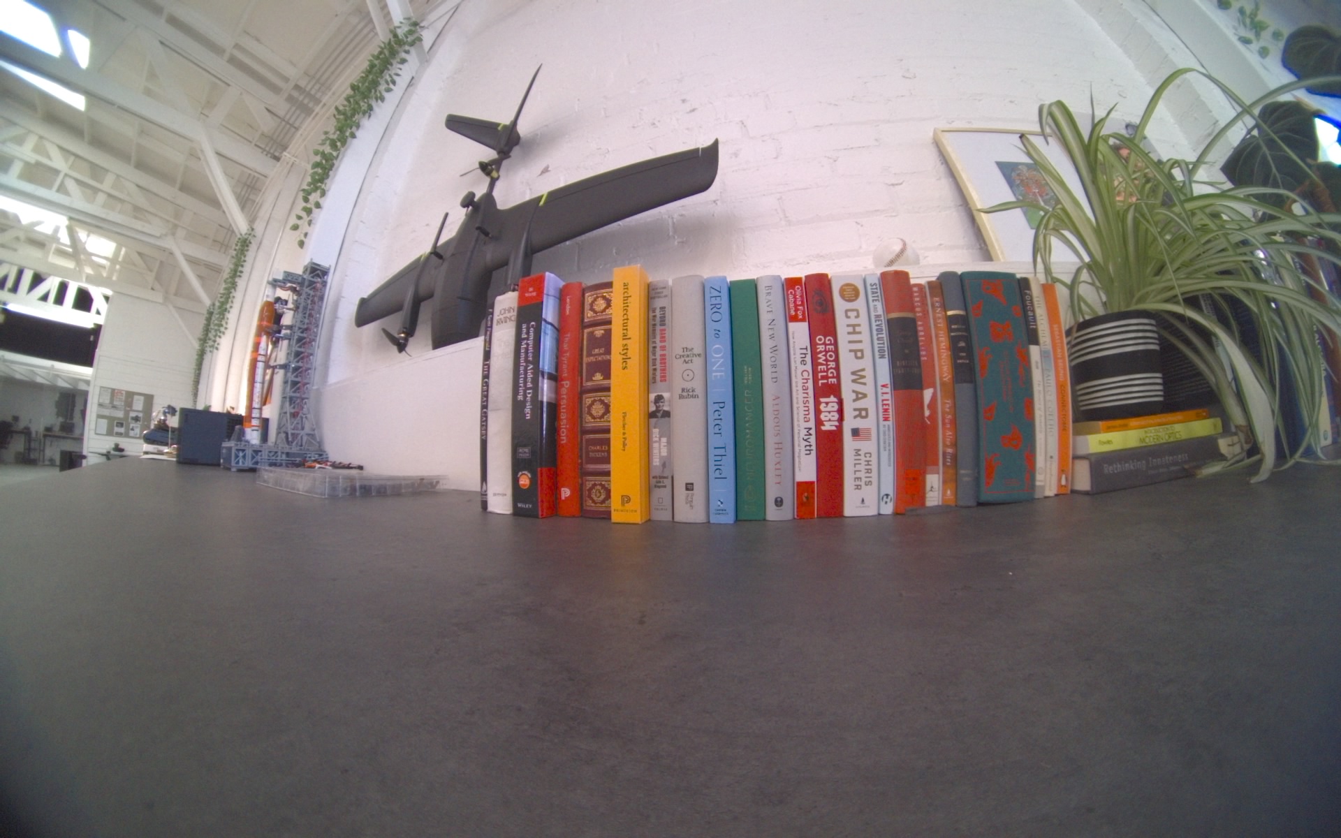 Books and a plant in a studio